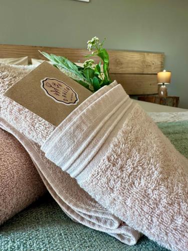 a towel sitting on top of a bed at Mia Amore in Caledon