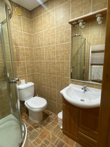 a bathroom with a toilet and a sink and a shower at Quinta do Azibo in Podence