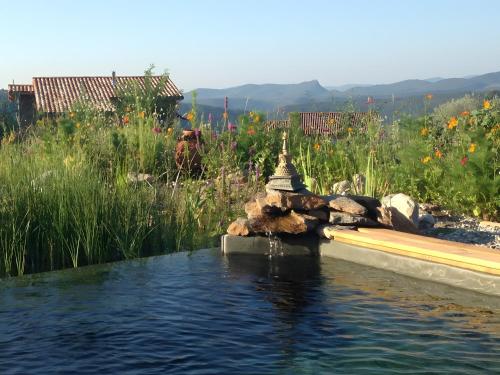 a pool of water in front of a field of flowers at Eco Gîte in Payzac