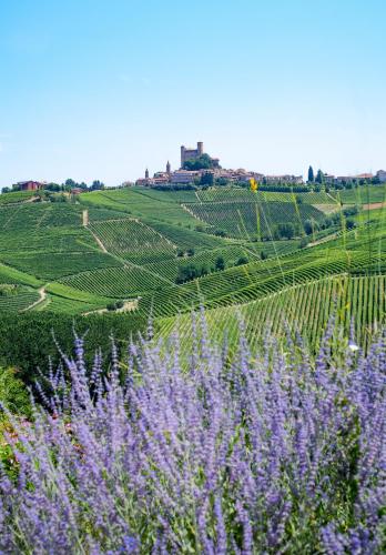 a field of lavender with a farm in the background at Foresteria, Winery & Events Destination in Monforte dʼAlba