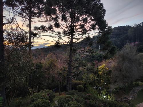 a view of a garden with trees and bushes at Pousada dos Pássaros in Santo Antônio do Pinhal