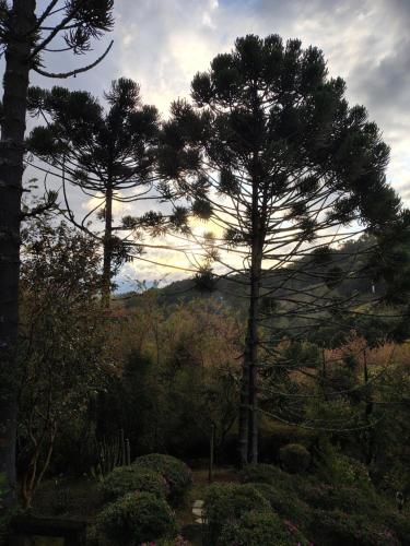 a group of trees in a garden with the setting sun at Pousada dos Pássaros in Santo Antônio do Pinhal