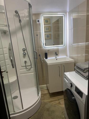 a bathroom with a shower and a sink at Cazare Bârlad 4 in Bîrlad
