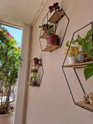 Gambar di galeri bagi Sunshine Terrace di Cagliari