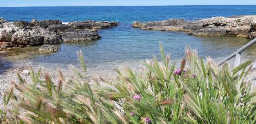 Paisaje cerca de esta casa o chalet