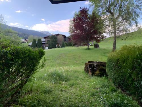 a field of grass with some animals in the distance at Appt de montagne Araches in Arâches-la-Frasse