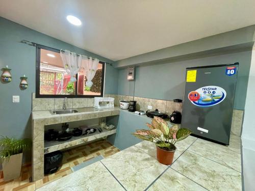 Kuchyň nebo kuchyňský kout v ubytování Apartamento el Almendro