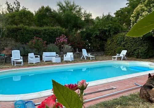 a swimming pool with two chairs and a group of chairs at B&B Il Casale Del Ginepro in Migliano