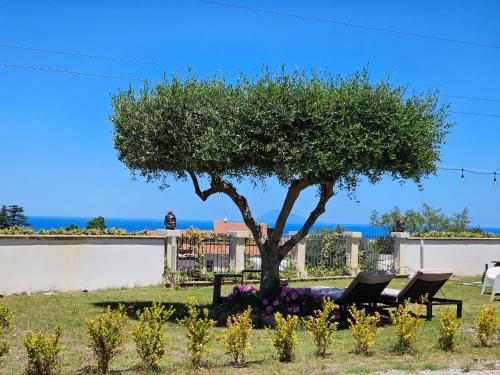 Vườn quanh Imperial