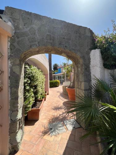 Κήπος έξω από το Hotel Carlo Magno