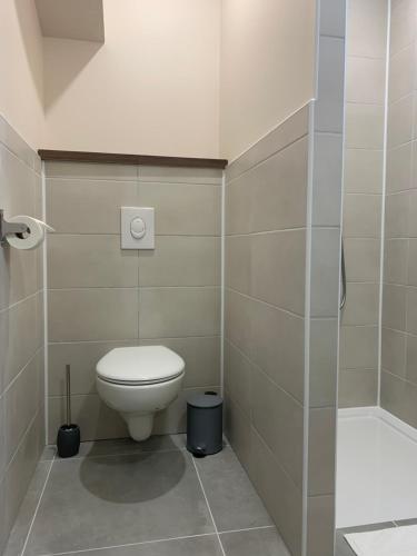 a small bathroom with a toilet and a shower at Votre Inndependance dans le Jura in Dampierre