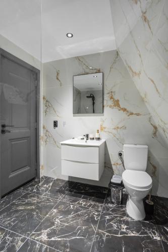 a bathroom with a toilet and a sink and a mirror at Nordi-KA Chalet A-Frame Vatra Dornei in Ortoaia
