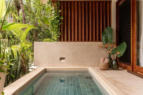 a swimming pool in the middle of a house with plants at Villas Caracol in Holbox Island