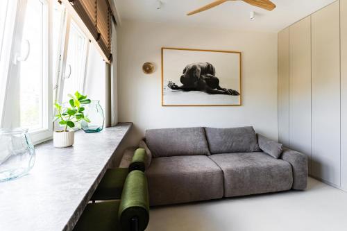 Nice Studio in the City Centre