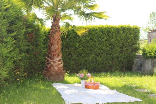 een tafel met twee manden en een palmboom bij Villas da Quintã in Cabeceiras de Basto
