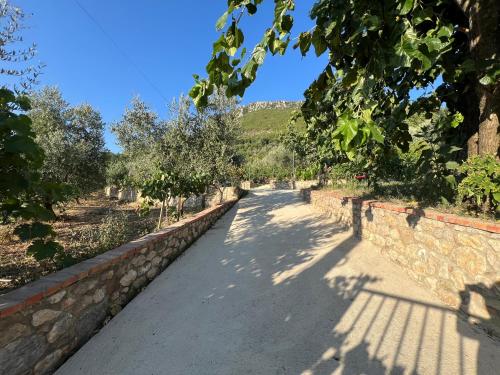 Gallery image of Titos Countryside Home in Pëllumbas