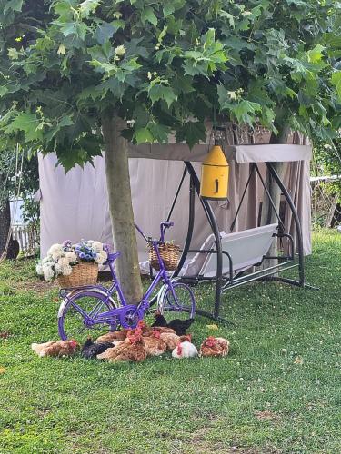 a purple bike parked next to a tree next to chickens at Maittia-Larraona in Larraona