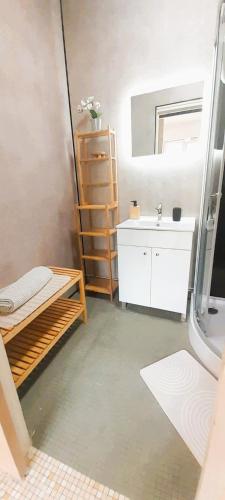 a bathroom with a sink and a mirror at Le gite des Marchis 4 pers cour in Buzançais