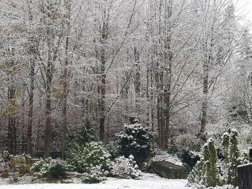 a garden covered in snow with trees in the background at Szymonówka W Szklarskiej Porębie in Szklarska Poręba