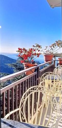 a balcony with chairs and potted plants on a railing at Hotel Holiday Hill Mcleodganj-Near to Dalai Lama Temple & Mall Road in Dharmsala
