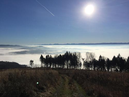 a view of a foggy field with trees and the moon at PilgerRosenhof in Maria Taferl