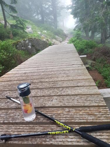 a bottle and two sticks on a wooden bridge at Szymonówka W Szklarskiej Porębie in Szklarska Poręba