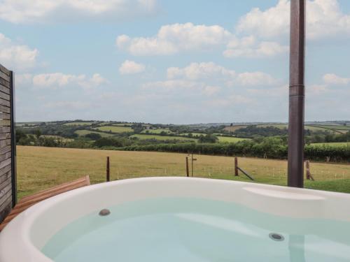 a bath tub with a view of a field at The Bickleigh in Tiverton