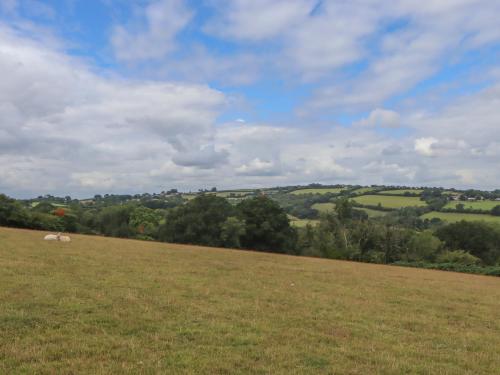 a field with two sheep grazing in a field at The Bickleigh in Tiverton