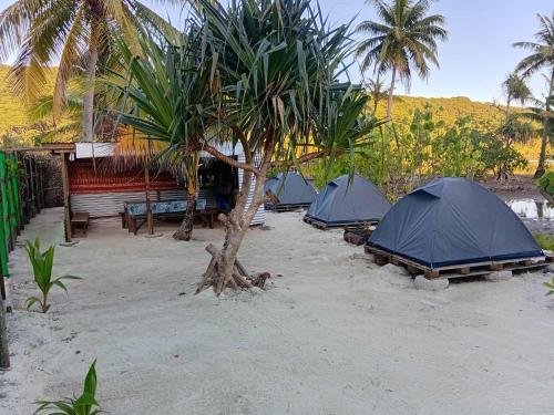 a group of tents on a beach with a palm tree at Chill Camp Tahaa in Patio