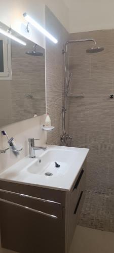 a bathroom with a sink and a shower at La Brise de Djerba, Villa de Charme en bord de mer à Al Jazira in Mezraya