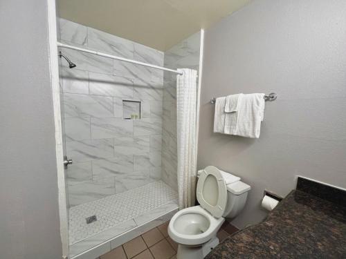 a bathroom with a shower with a toilet and a sink at Budget Inn Phoenix in Phoenix