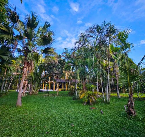 a lawn with palm trees in front of a house at home stay pool villa chiang mai in Ban Thung Satong