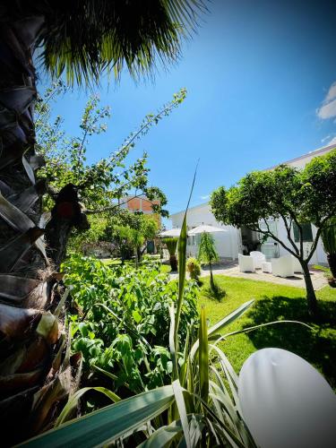 Gallery image of Minturnae Hotel in Scauri