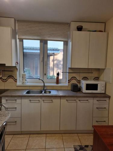 a kitchen with a sink and a microwave at Apartamentai Giruliuose - privatus dviejų aukštų namas in Melnragė