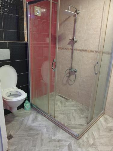 アヴシラーにあるSword Hotelのシャワーとトイレ付きのバスルーム
