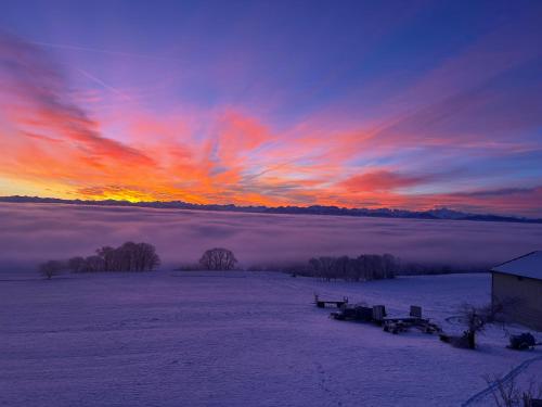a sunrise in a field with a blanket of fog at La Ferme de la Praz - Rooms with a View in La Praz