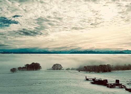 a snow covered field with benches in front of a lake at La Ferme de la Praz - Rooms with a View in La Praz