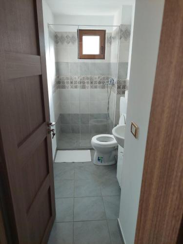 a small bathroom with a toilet and a shower at Casa Valea Arefului in Arefu