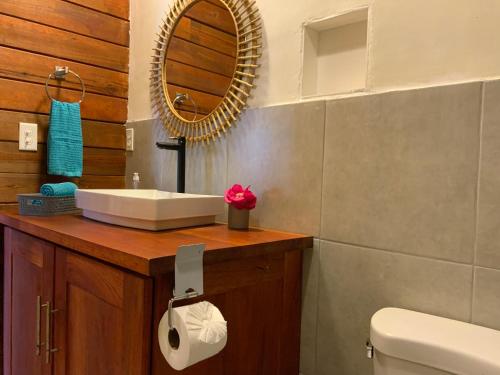 a bathroom with a sink and a mirror and a toilet at Peaceful Refuge in Quiete Bay in Bocas del Toro