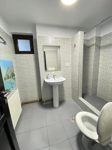 a bathroom with a sink and a shower and a toilet at Casa Corbeanu Transfagarasan in Bucşeneşti