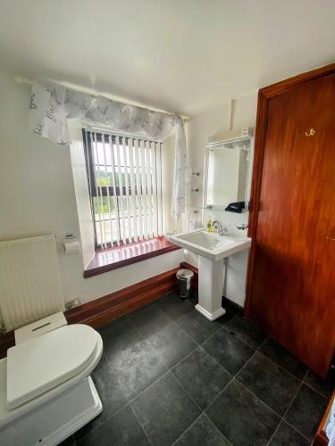 a bathroom with a sink and a toilet and a window at Flambards Hotel in Cardigan