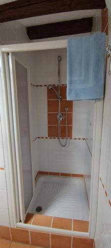a bathroom with a shower with a blue ceiling at Tra mare e collina in Condrò