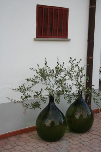 two green vases sitting next to a wall at Casa Amrita B&B in Teramo