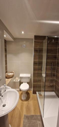 a bathroom with a toilet and a shower and a sink at The Duke's Townhouse in Chester
