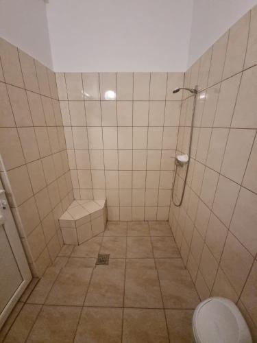 a bathroom with a shower and a toilet in it at Casa Luca 2 in Vama Veche
