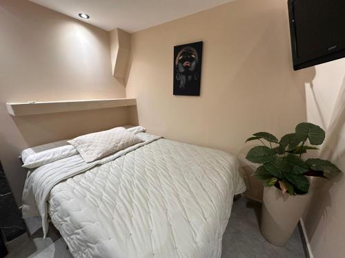 Postel nebo postele na pokoji v ubytování Apart hotel