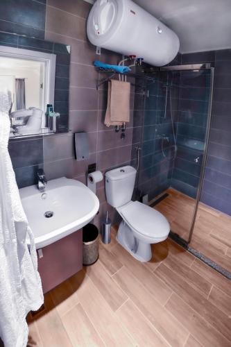 a bathroom with a toilet and a sink and a shower at Apartmani Milinkovic in Brdo
