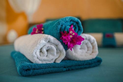 a couple of towels with flowers on top of them at Evasion tropicale villa 6 personnes avec piscine in Saint-Louis
