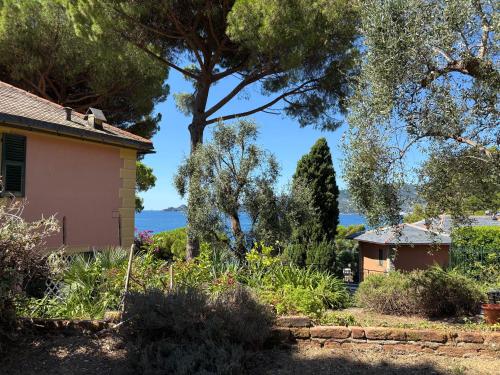 Κήπος έξω από το The terrace on Portofino Appartamento Terrazzo Portofino