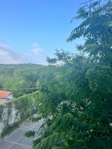 a view of a parking lot with a tree at Mk Lux Apartman in Soko Banja